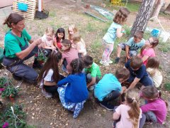 viber_slika_2024-06-04_16-43-41-066.jpg